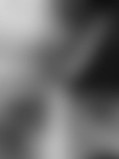 Dossa International office